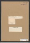 Campylodiscus groenlandicus Cleve. (de-Toni-Nr.: Genus 57, Species 2521) Zeichnungen Sammlung Grunow Nr. 5029 (NHMW-BOT-W0373286)